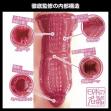 アダルトグッズ、【9/20発売】日本の名器　夏目響の見本画像7